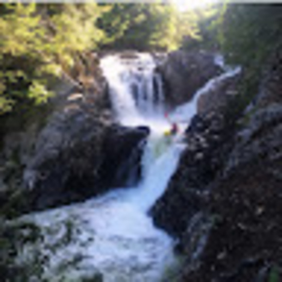 Meet your Posher, Ava - Picture 1 of 1